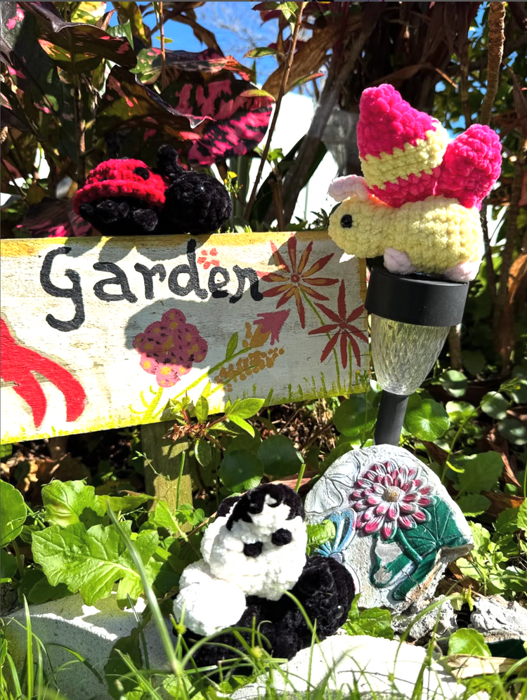 Spring Picks