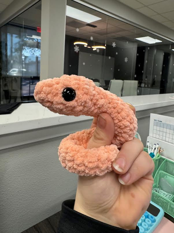 Garden Snake
