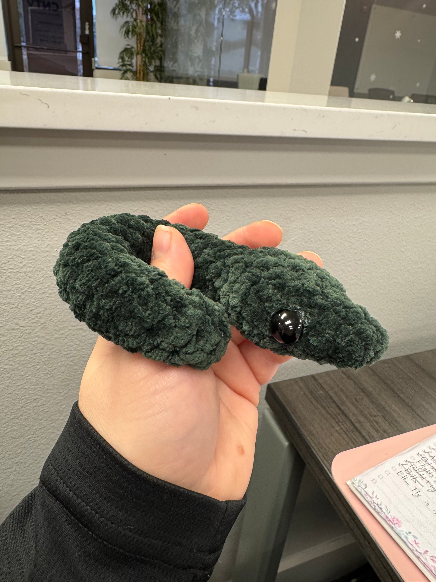 Garden Snake