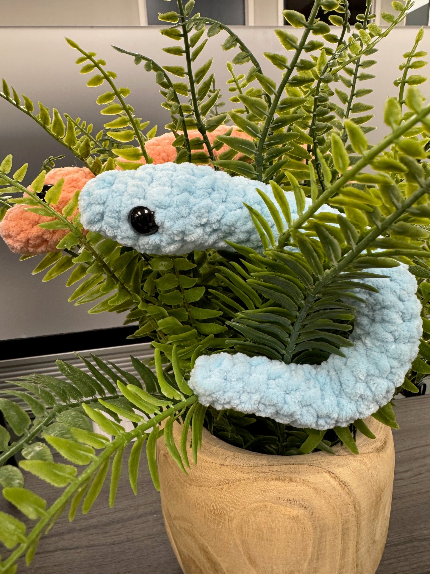 Garden Snake