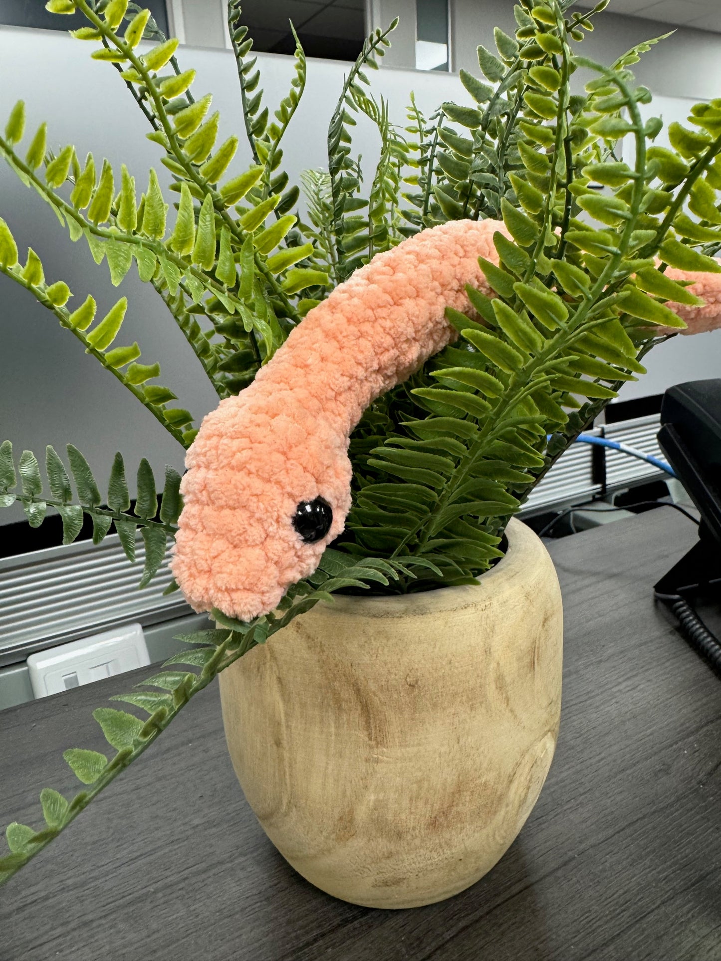 Garden Snake