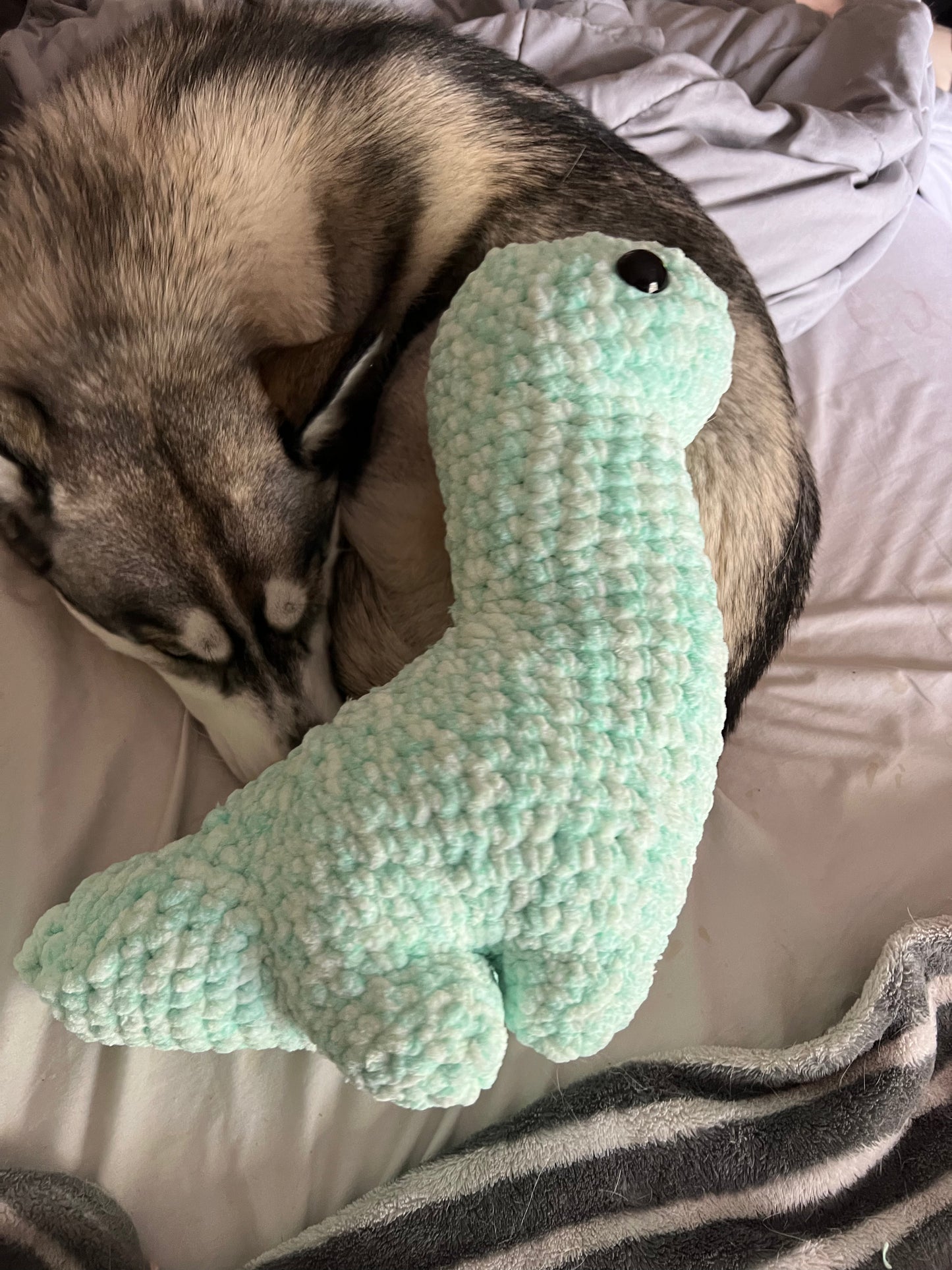 Brontosaurus - Large