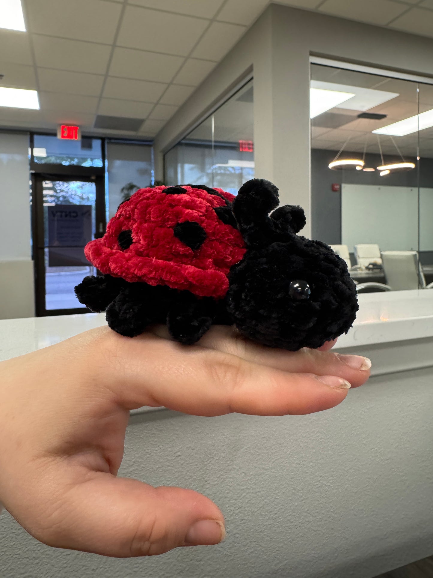 Lady Bug Bugling