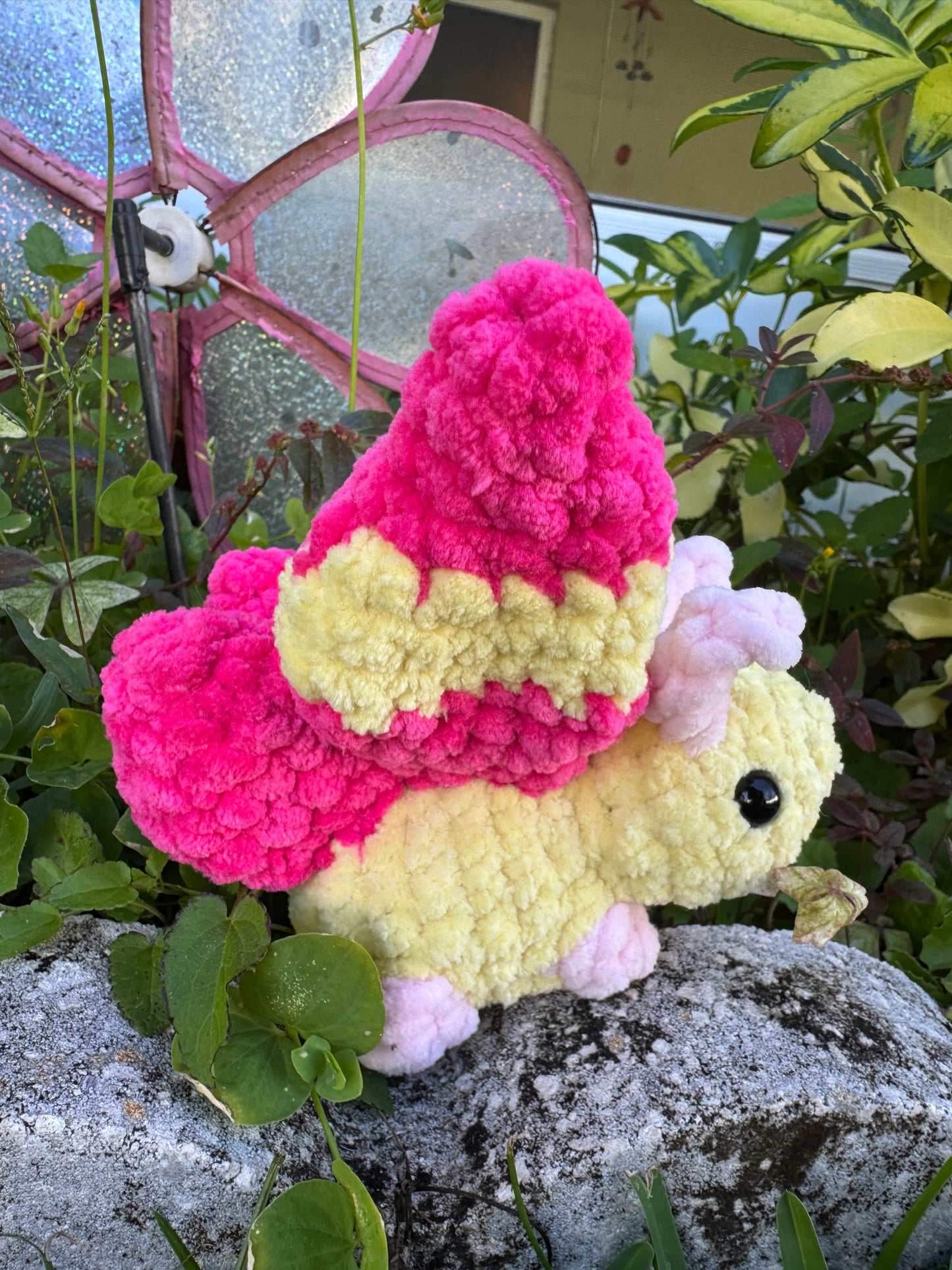Rosey Maple Moth Bugling