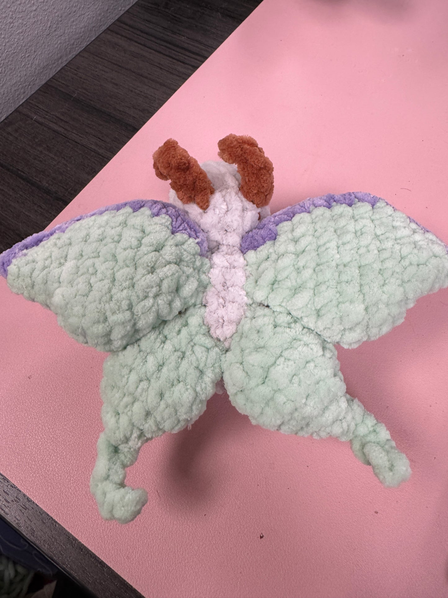 Luna Moth Bugling