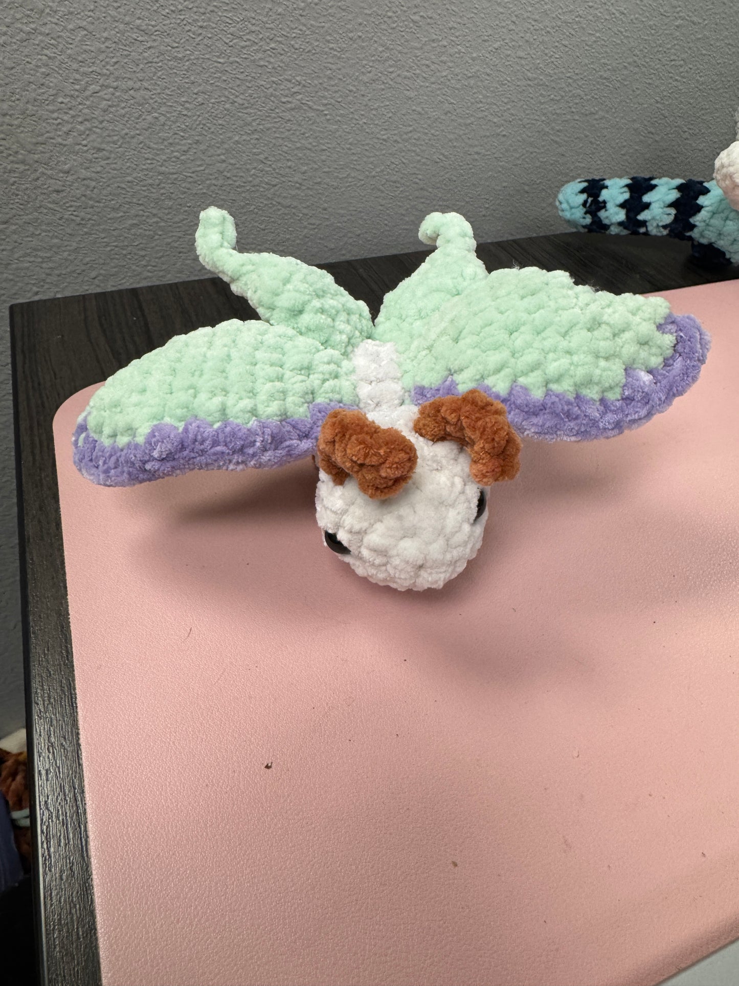 Luna Moth Bugling