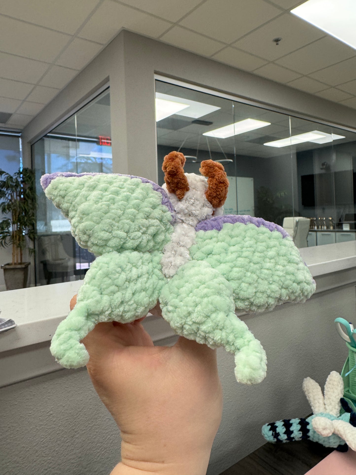 Luna Moth Bugling