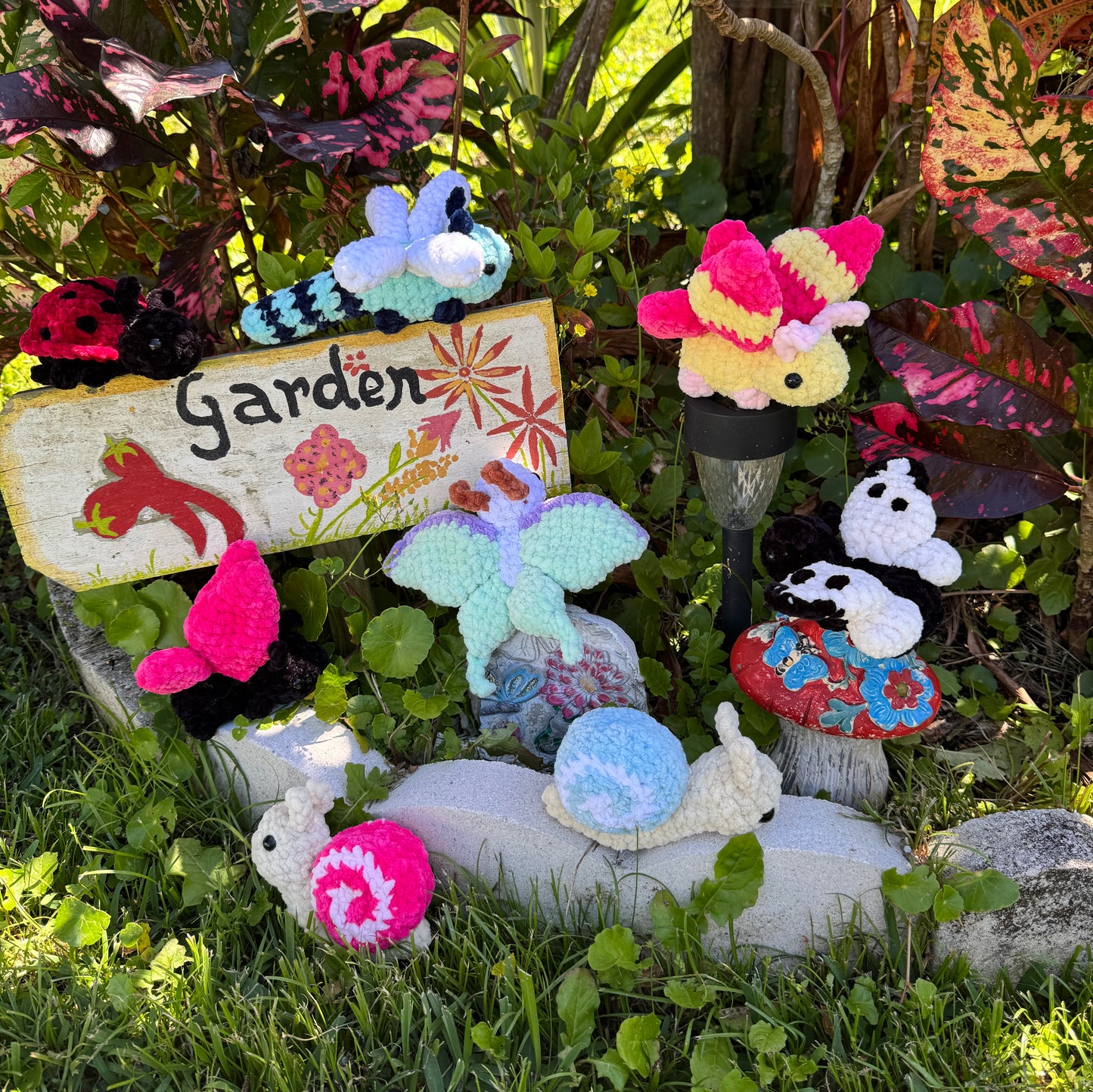 Garden Snail Bugling