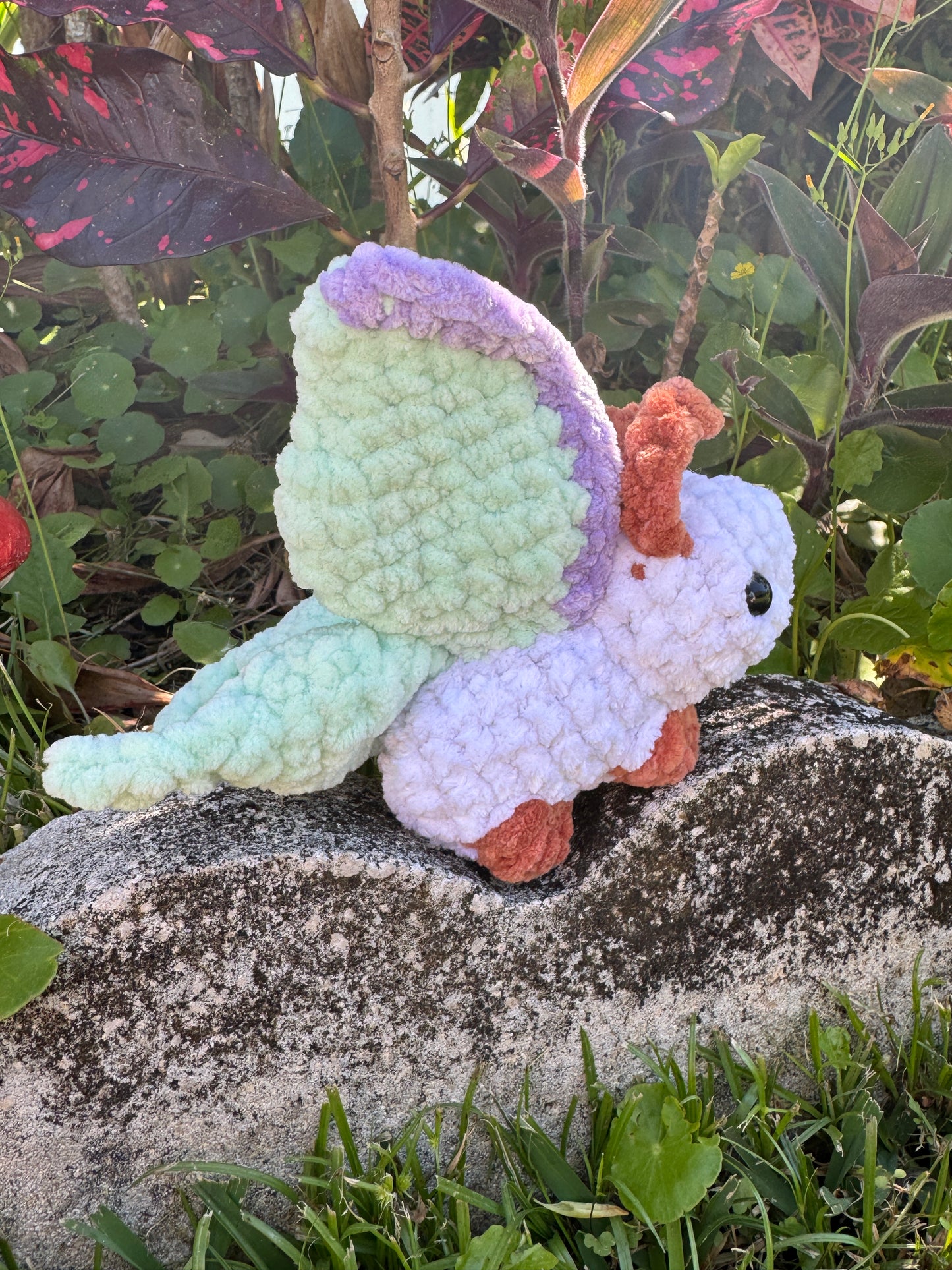 Luna Moth Bugling
