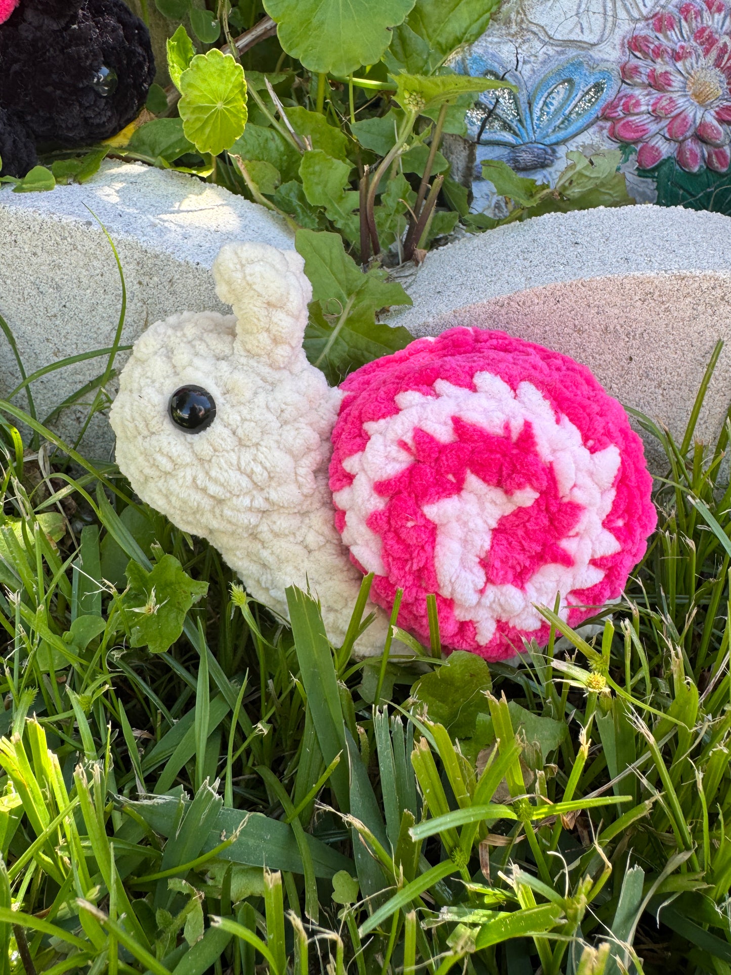 Garden Snail Bugling