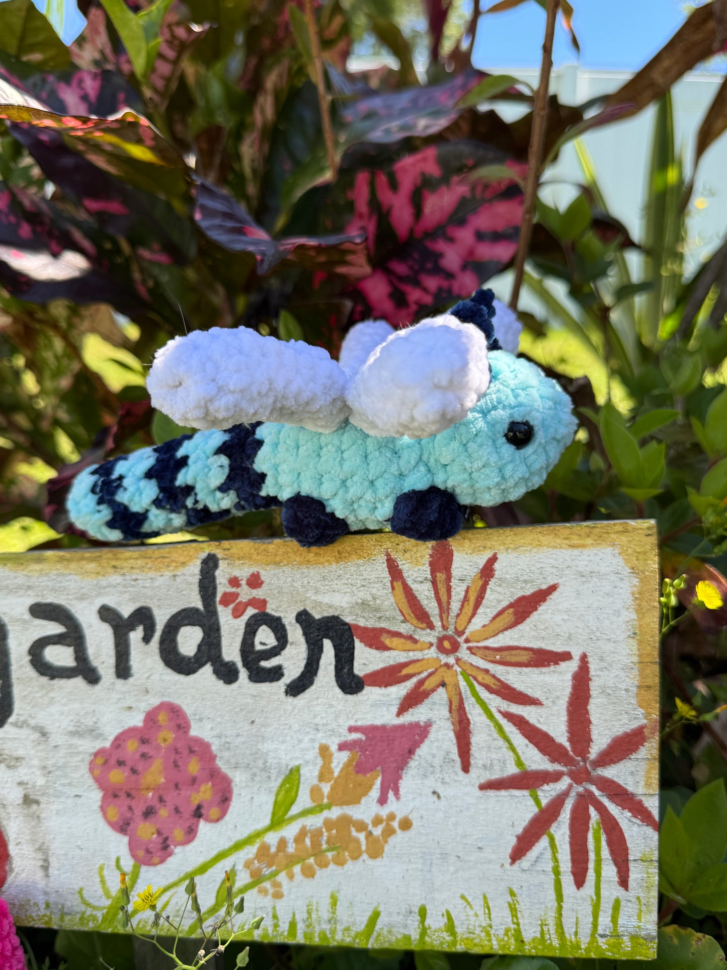 Dragonfly Bugling