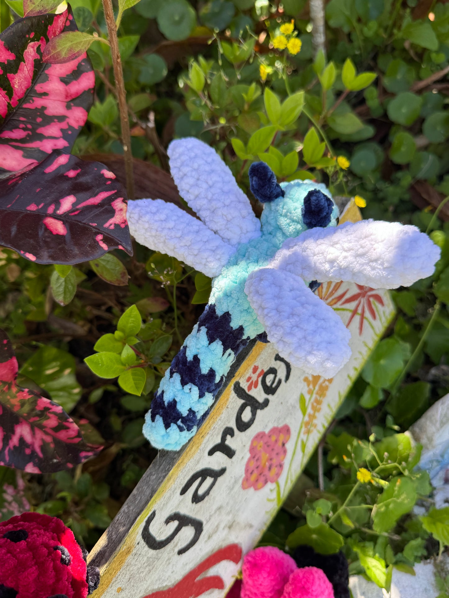 Dragonfly Bugling