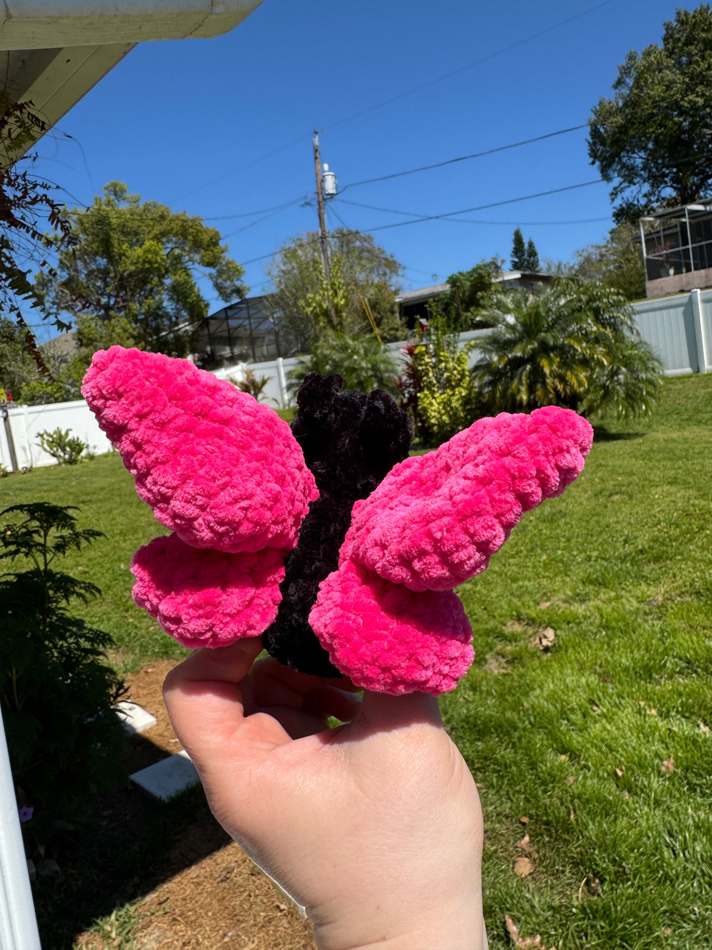 Pink Butterfly Bugling
