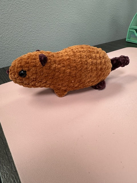 Baby Beaver