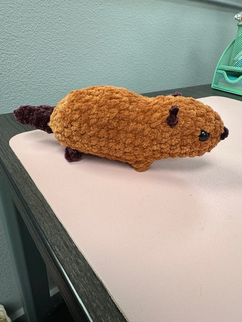 Baby Beaver