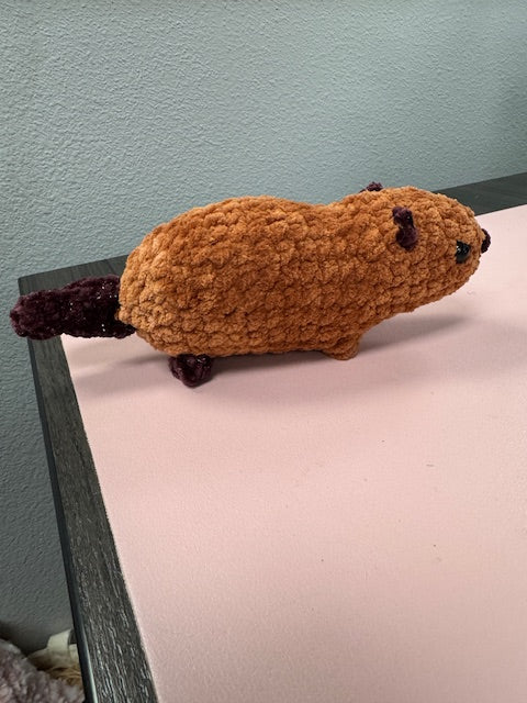 Baby Beaver