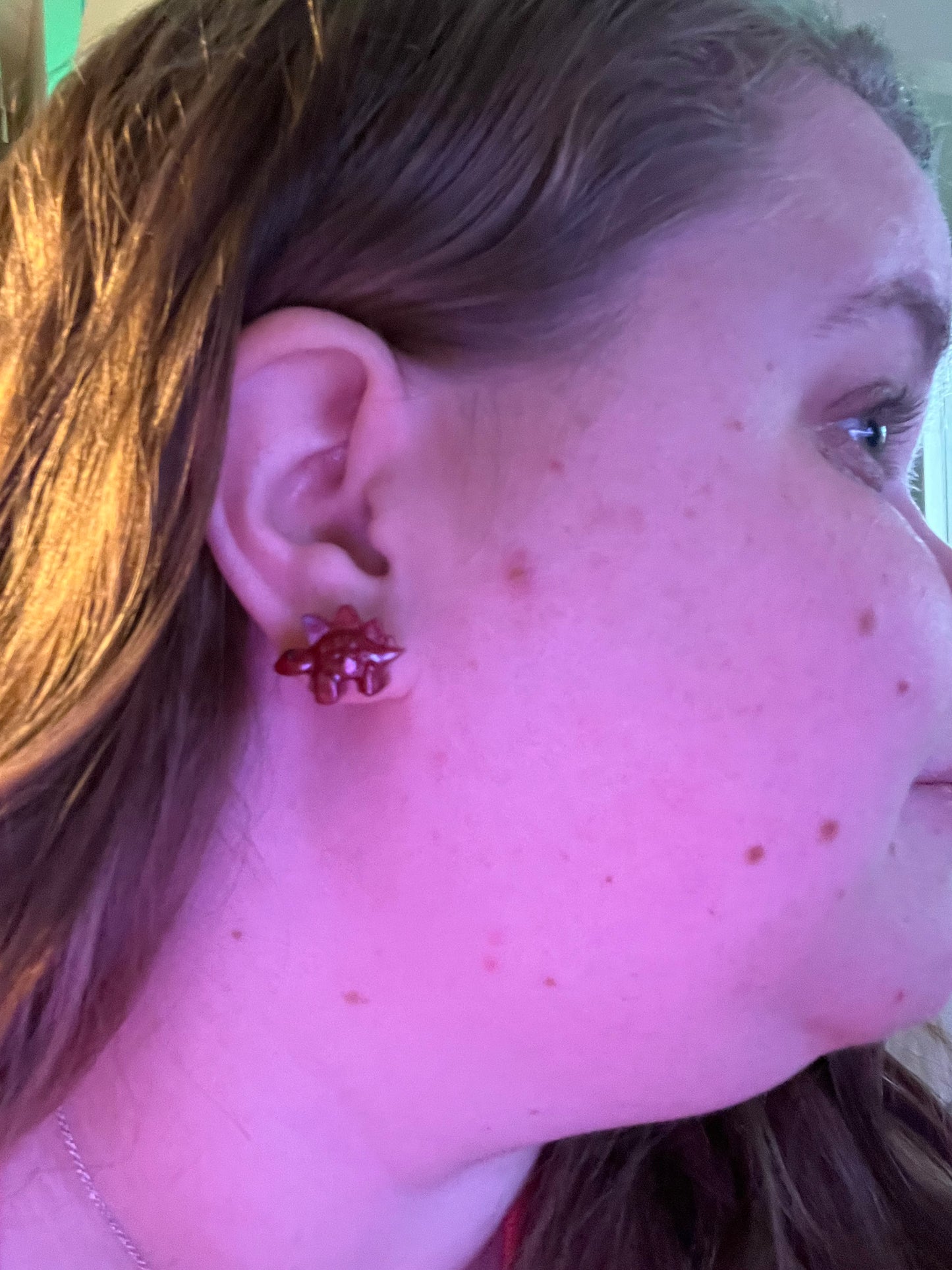 Tyrannosaurus Rex Dinosaur Earring Set
