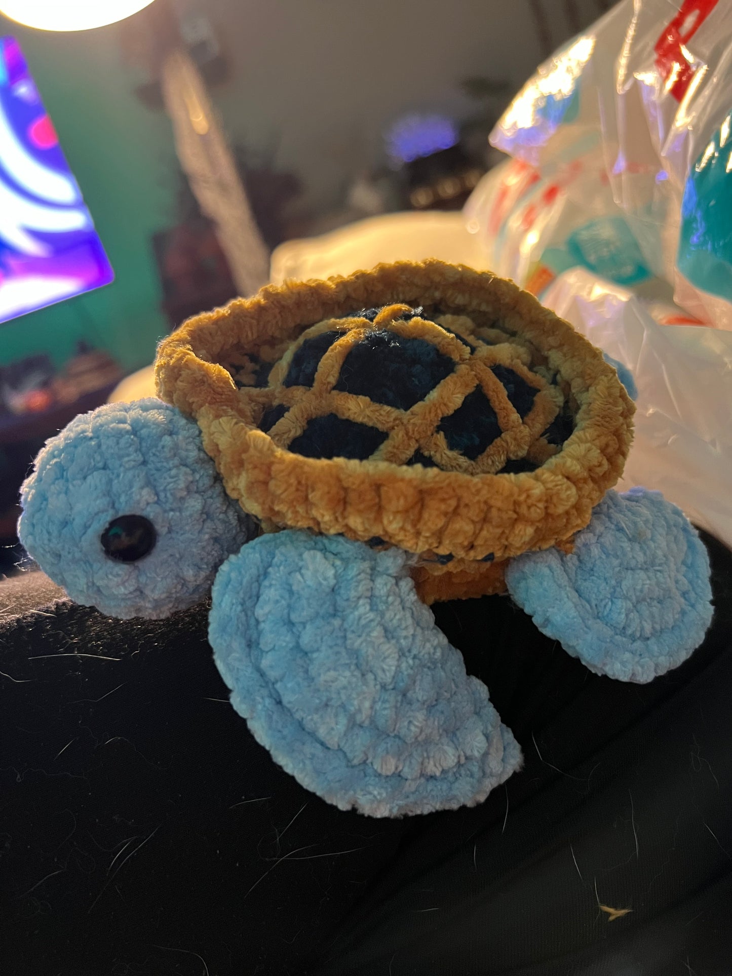 Blueberry Pie Turtle