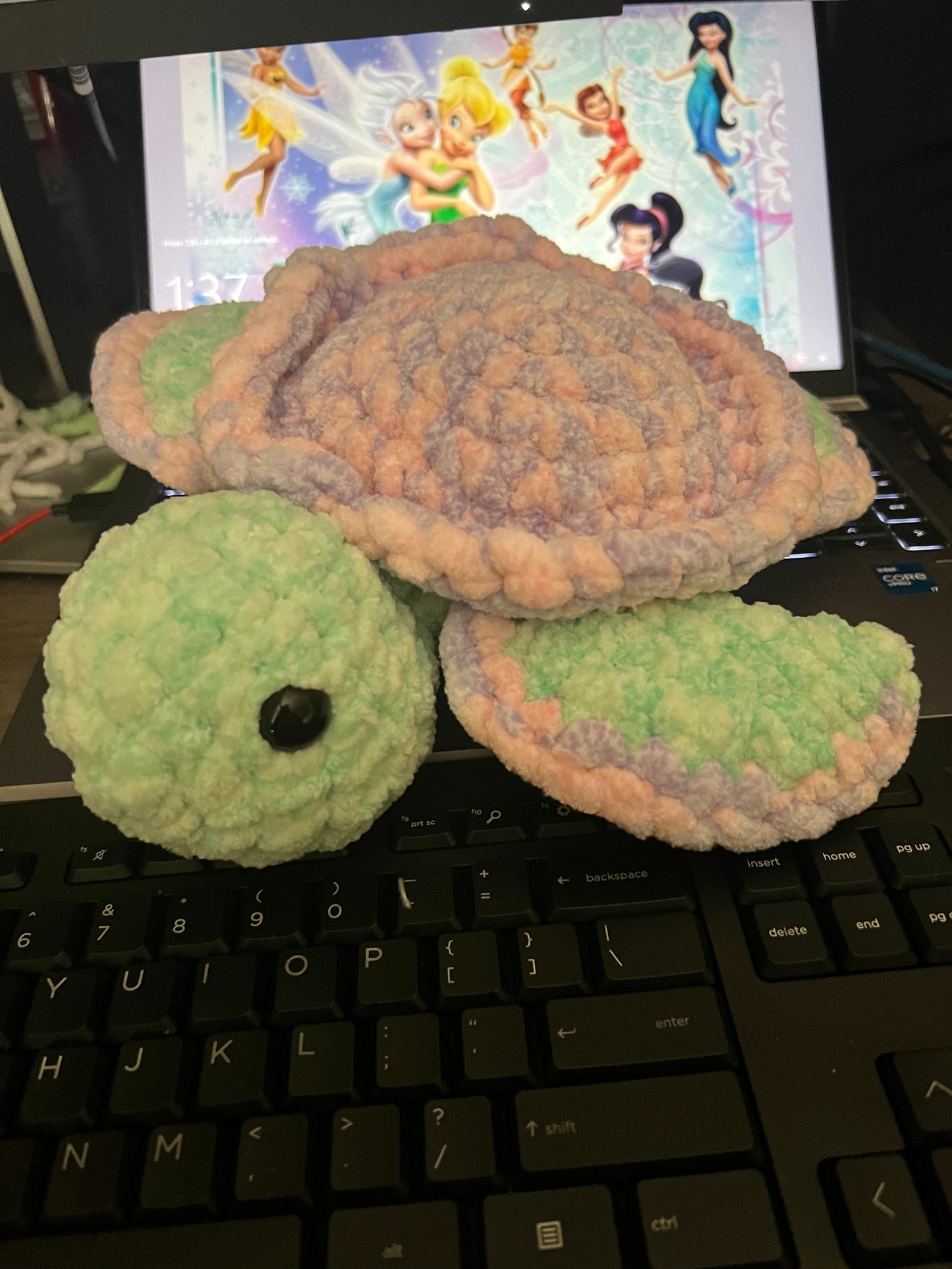 Large Turtle