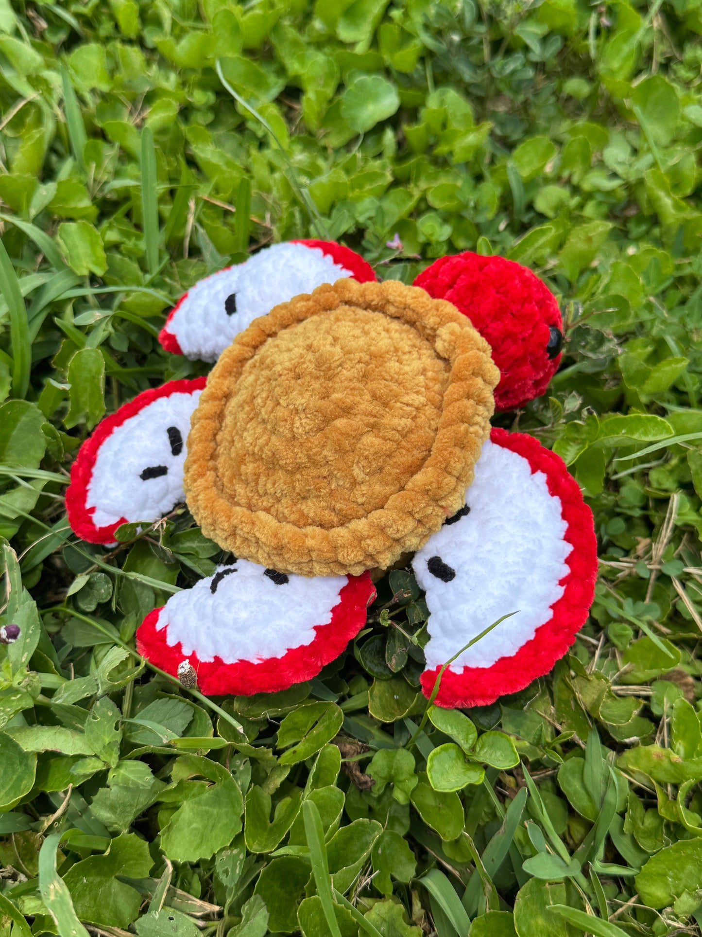Apple Pie Turtle