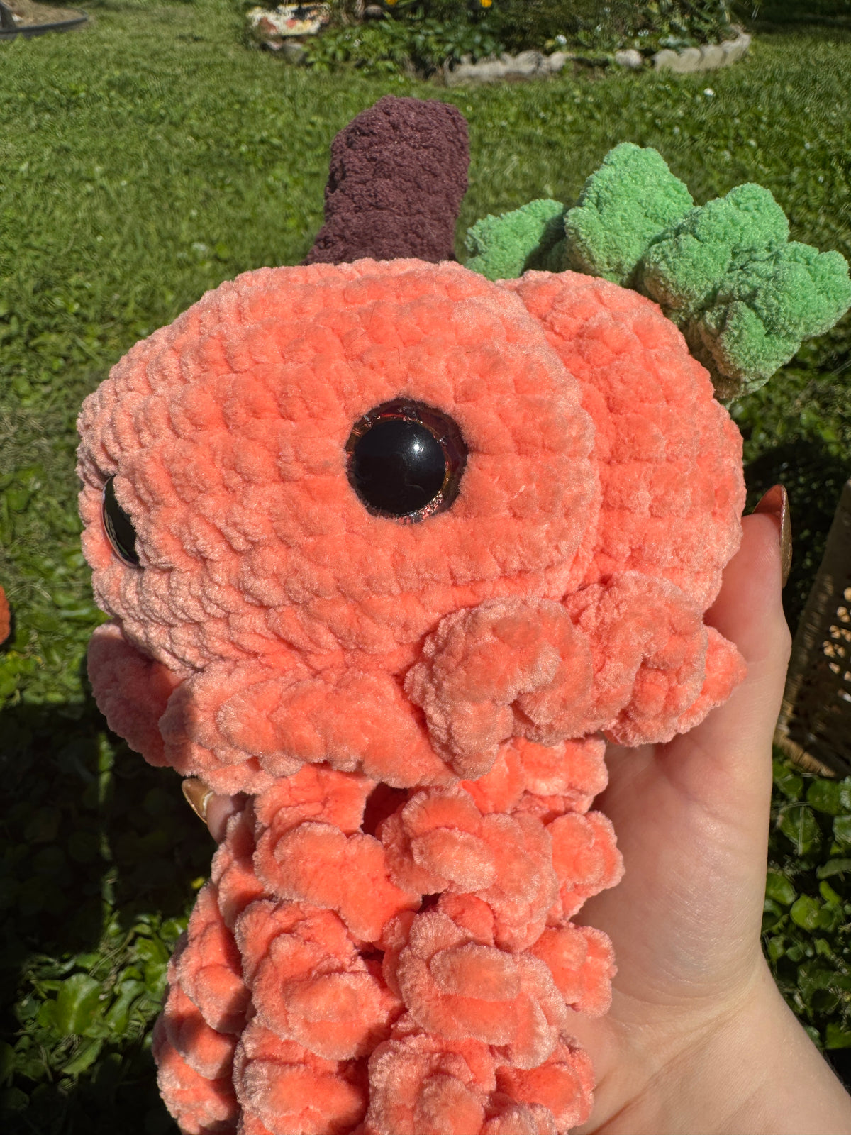Pumpkin Jellyfish