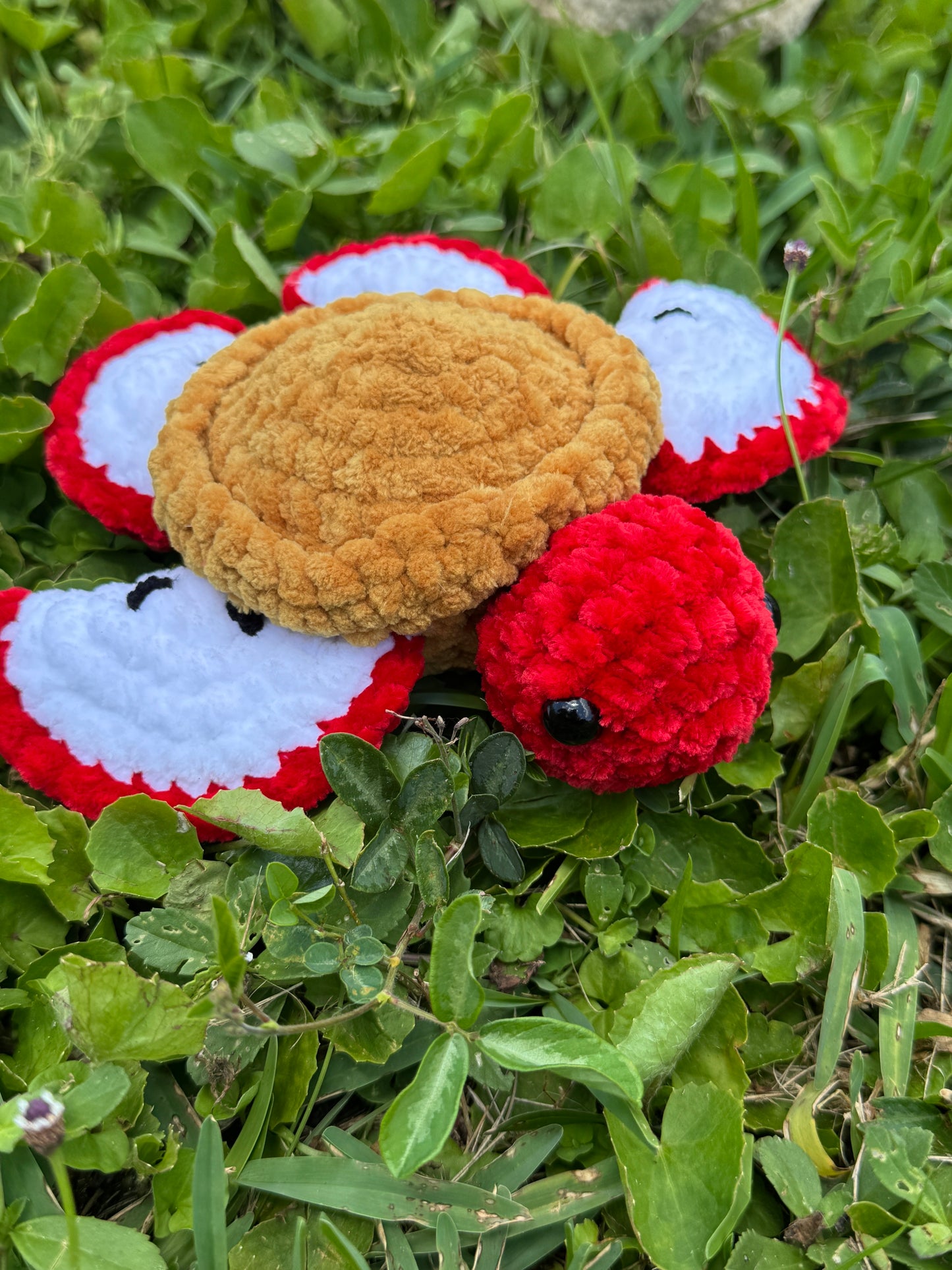 Apple Pie Turtle