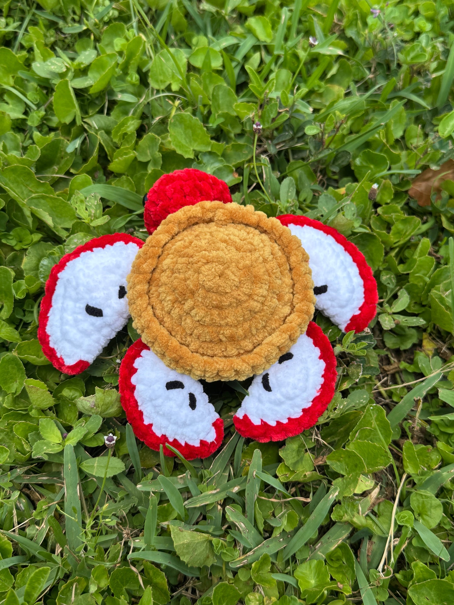 Apple Pie Turtle