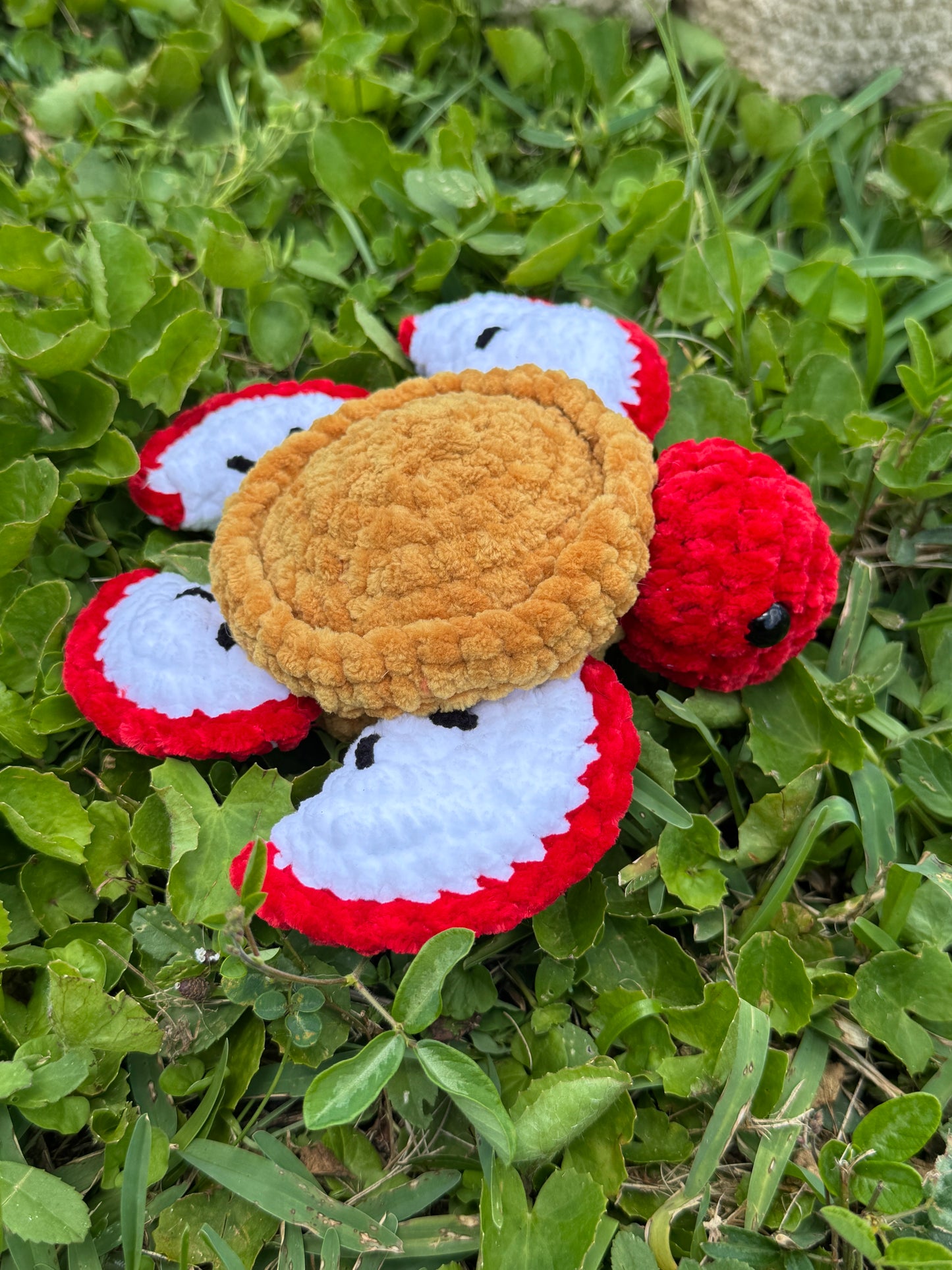 Apple Pie Turtle