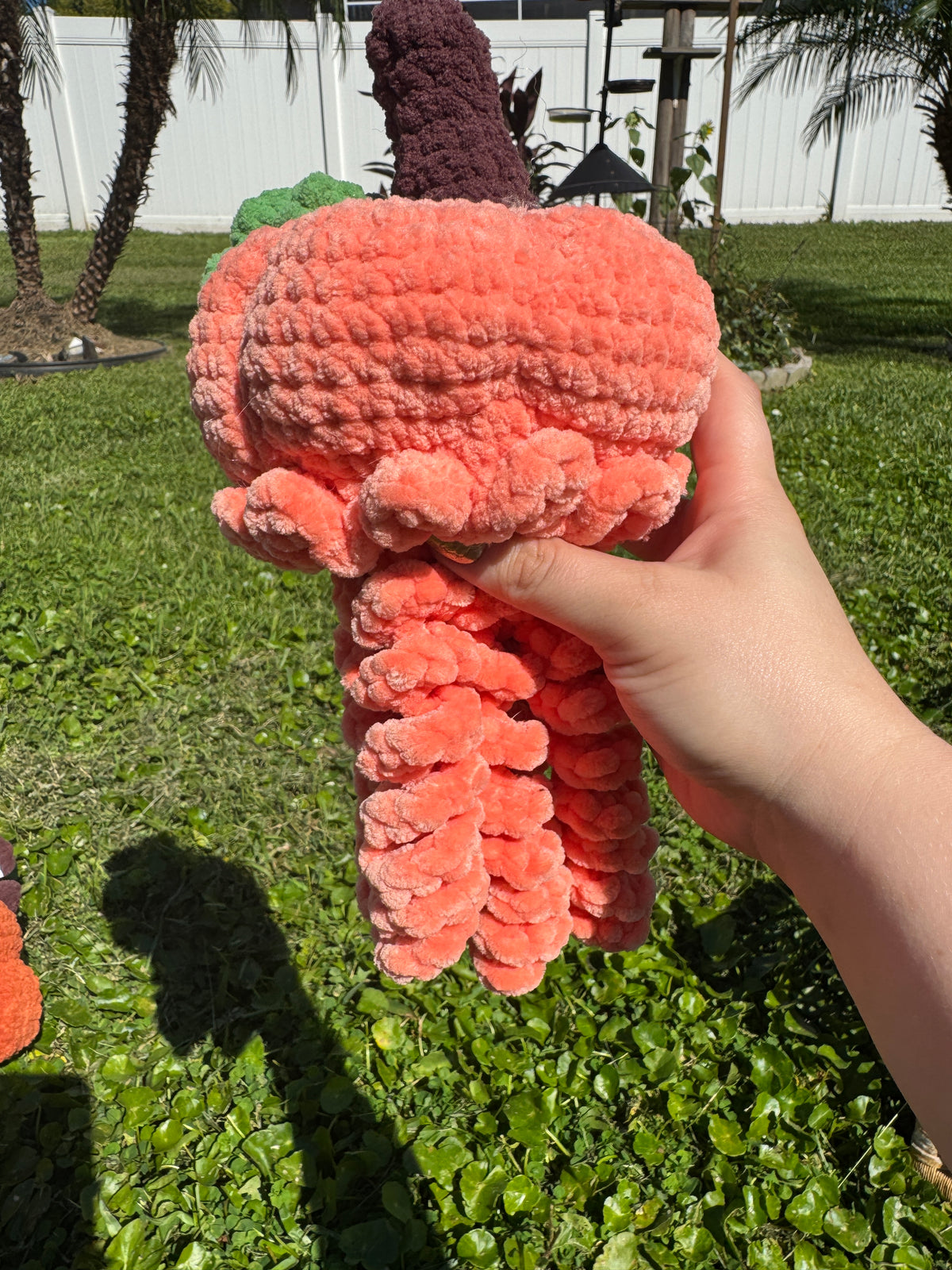 Pumpkin Jellyfish