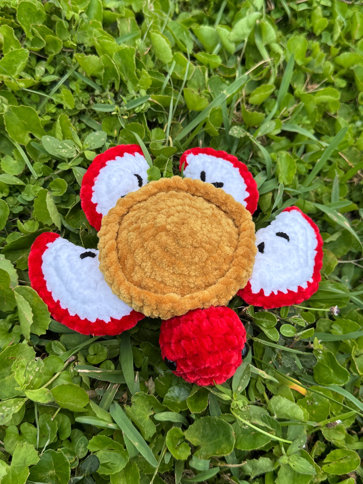 Apple Pie Turtle