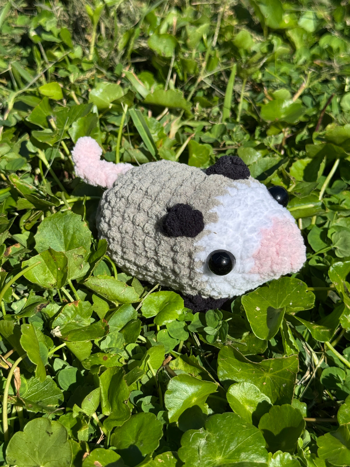 Possum Stress Pet