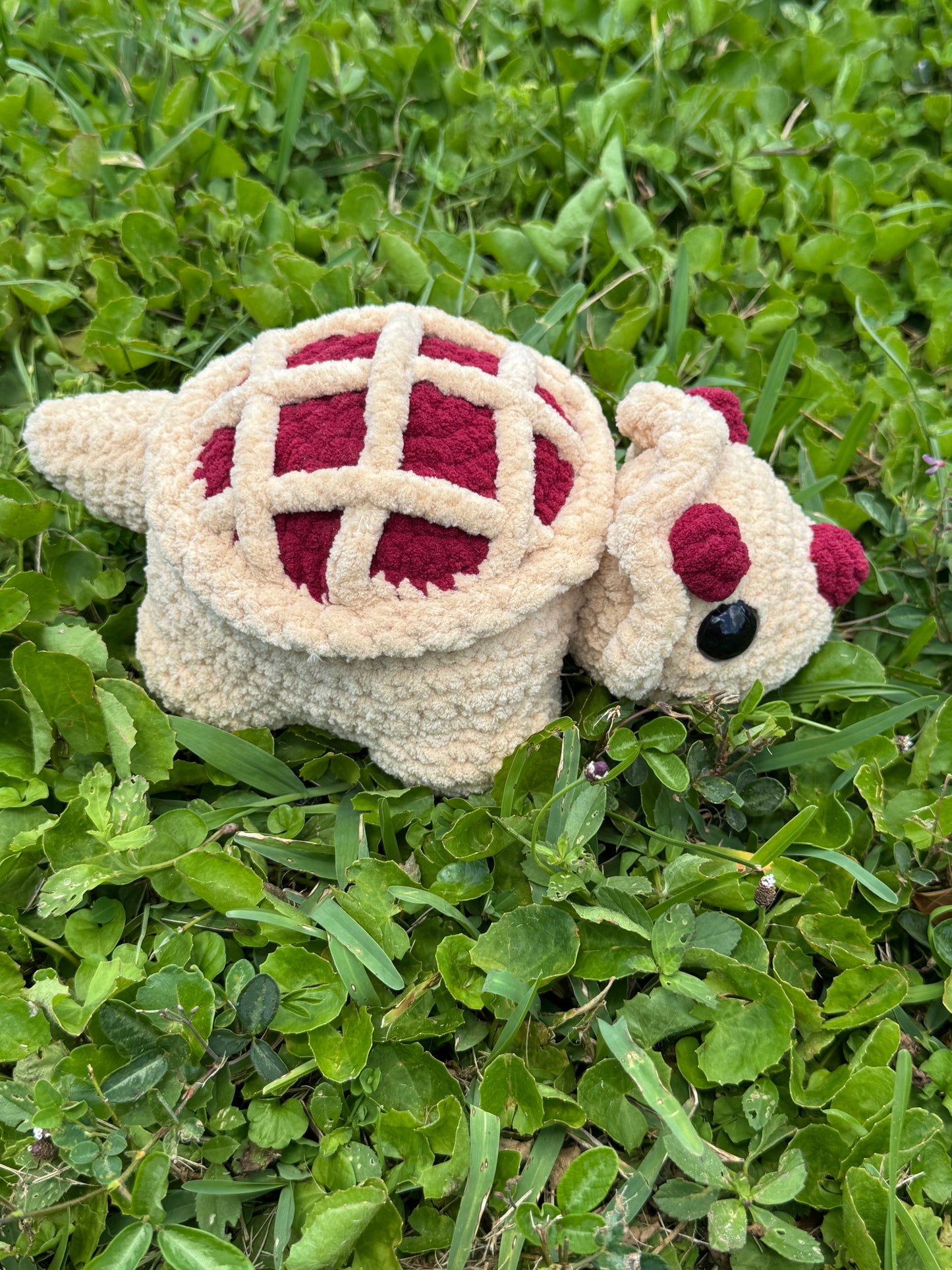 PieCeratops
