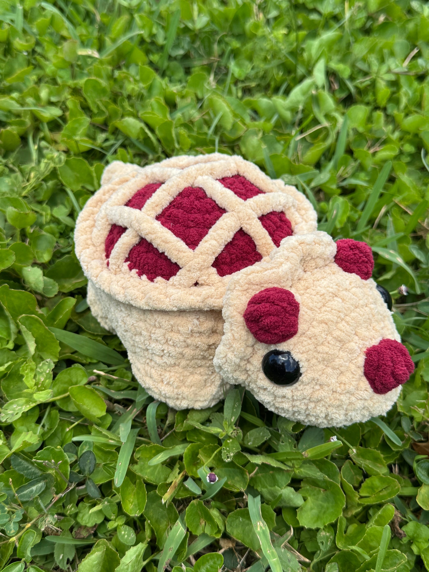 PieCeratops