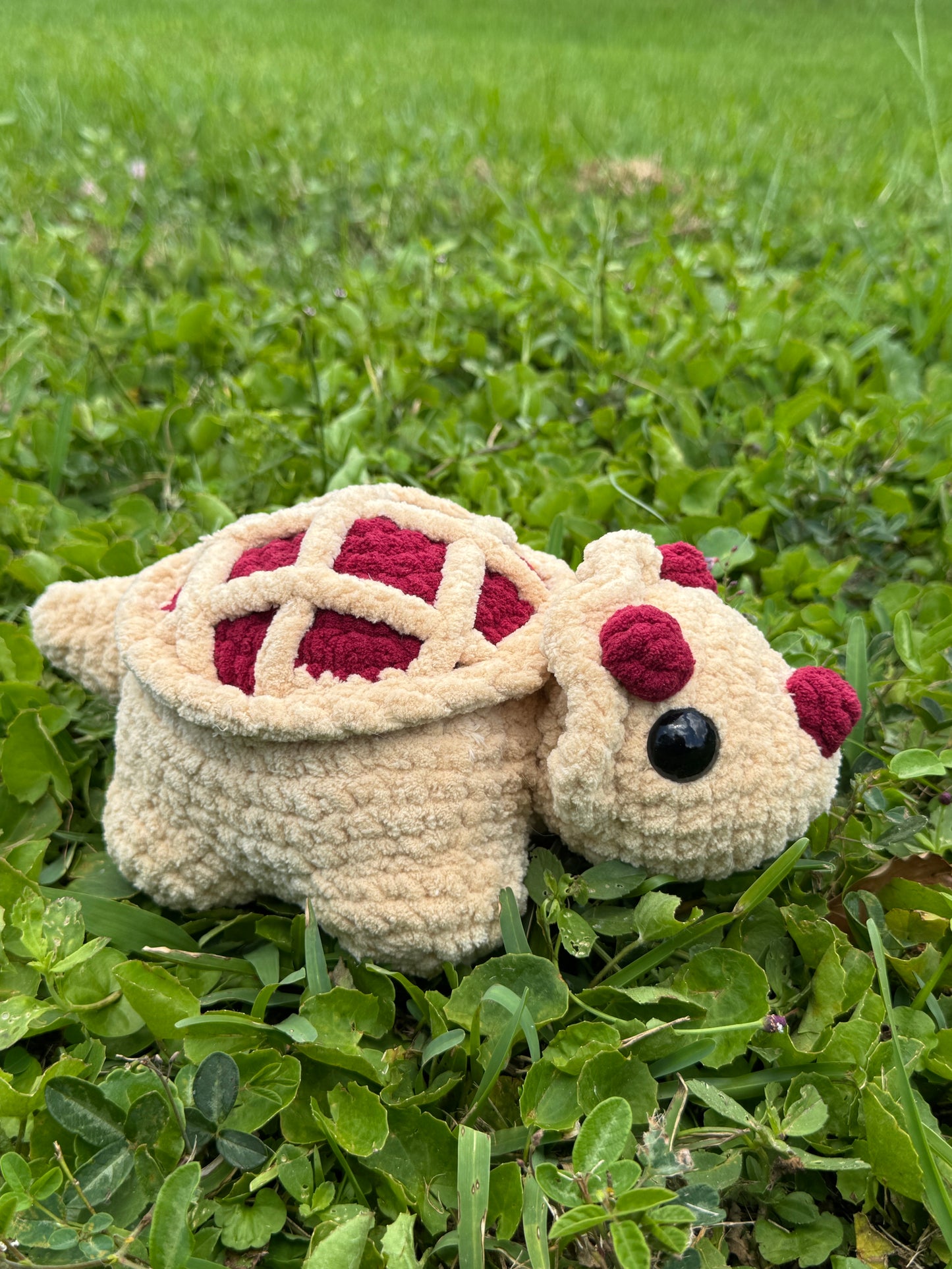PieCeratops