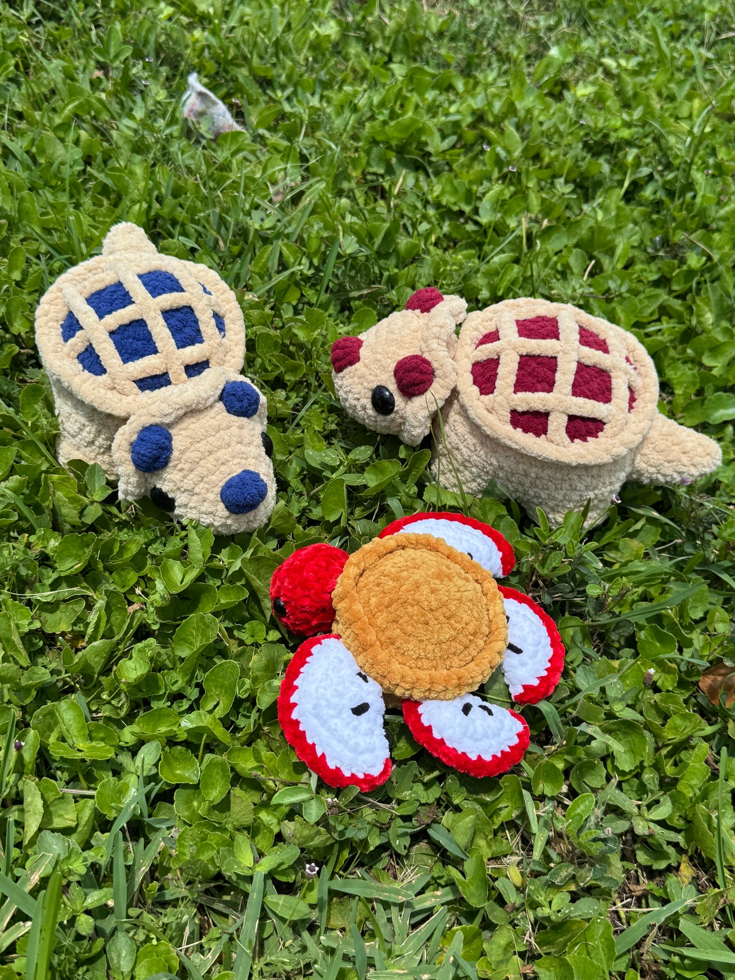 Apple Pie Turtle