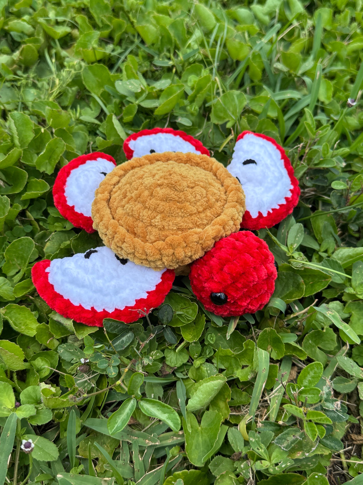 Apple Pie Turtle