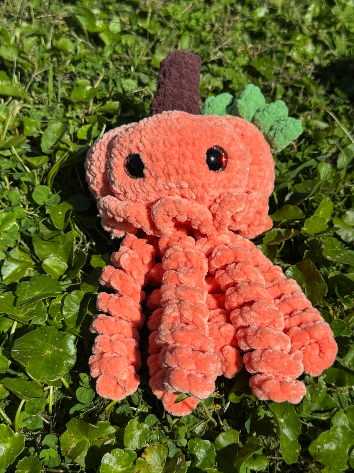 Pumpkin Jellyfish