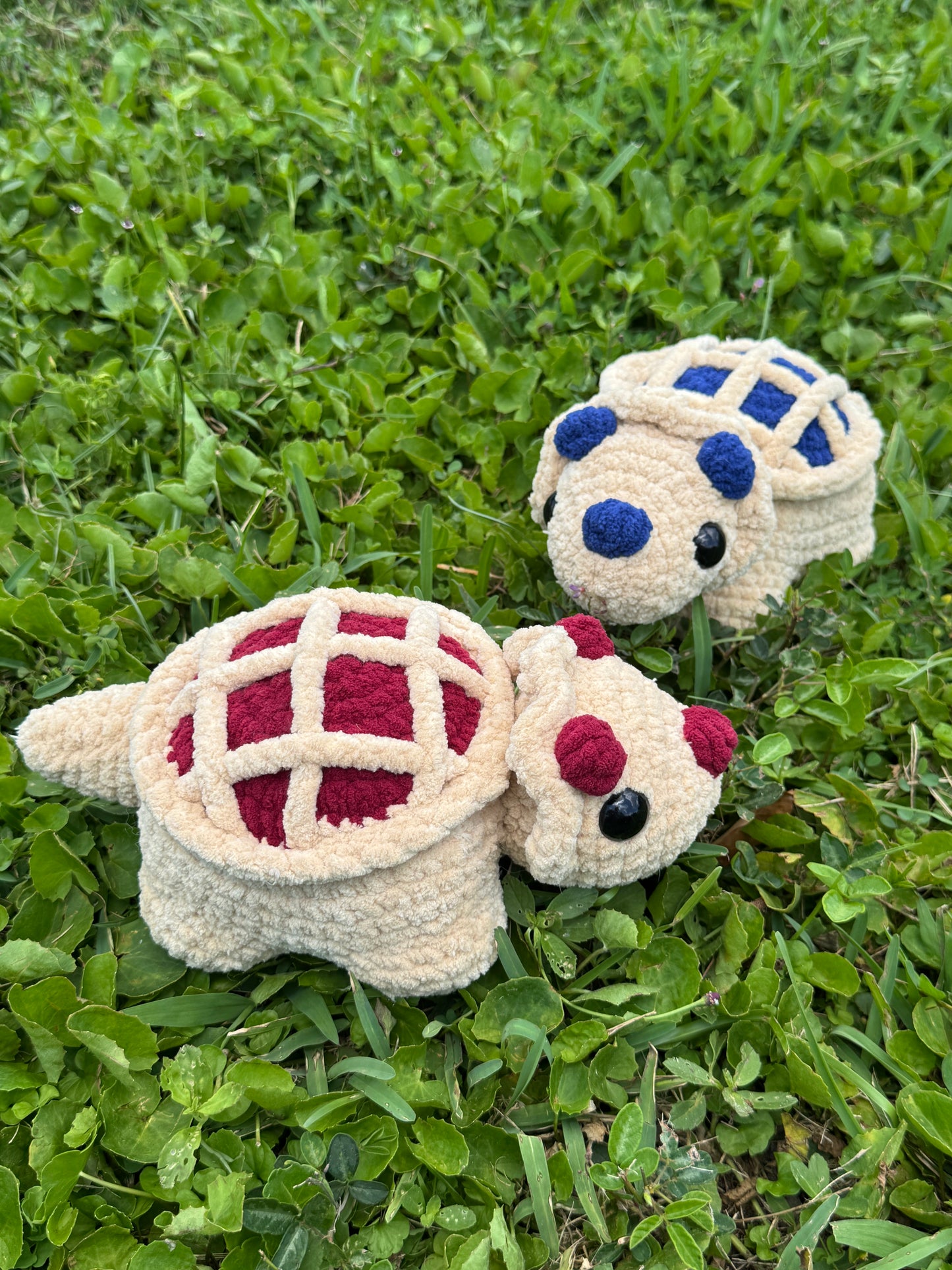PieCeratops