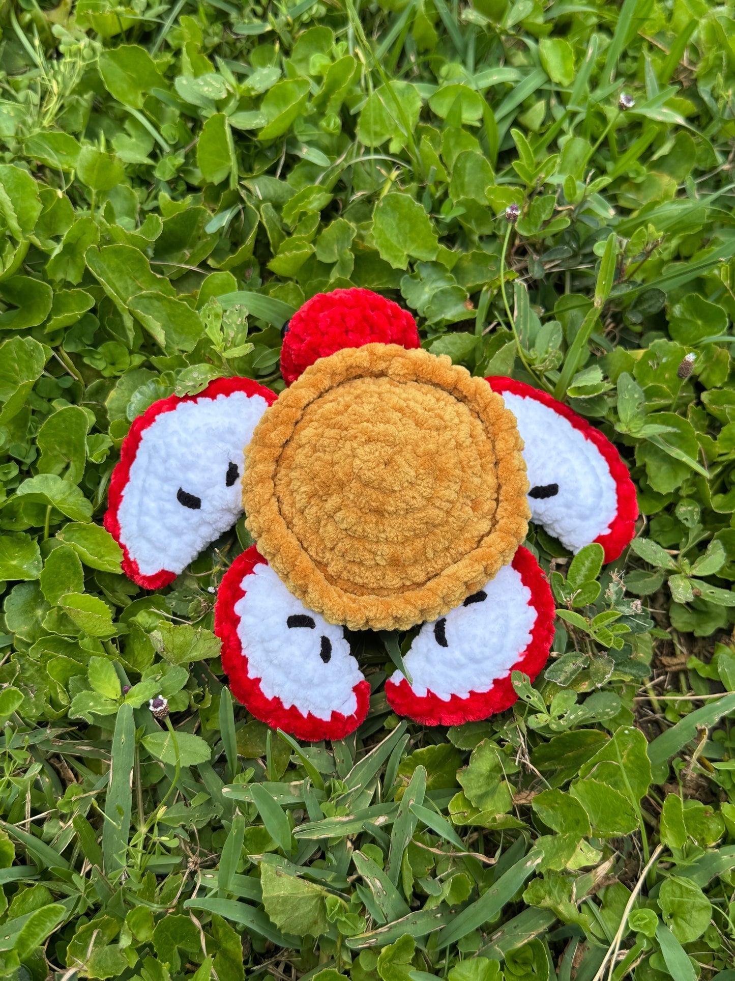 Apple Pie Turtle