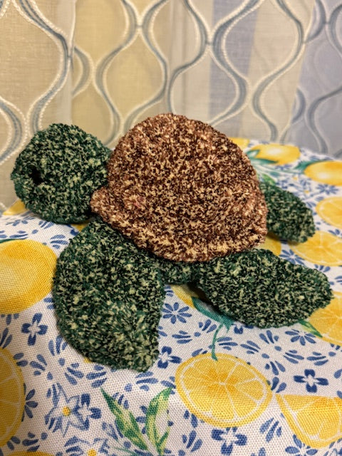 Sea Turtle