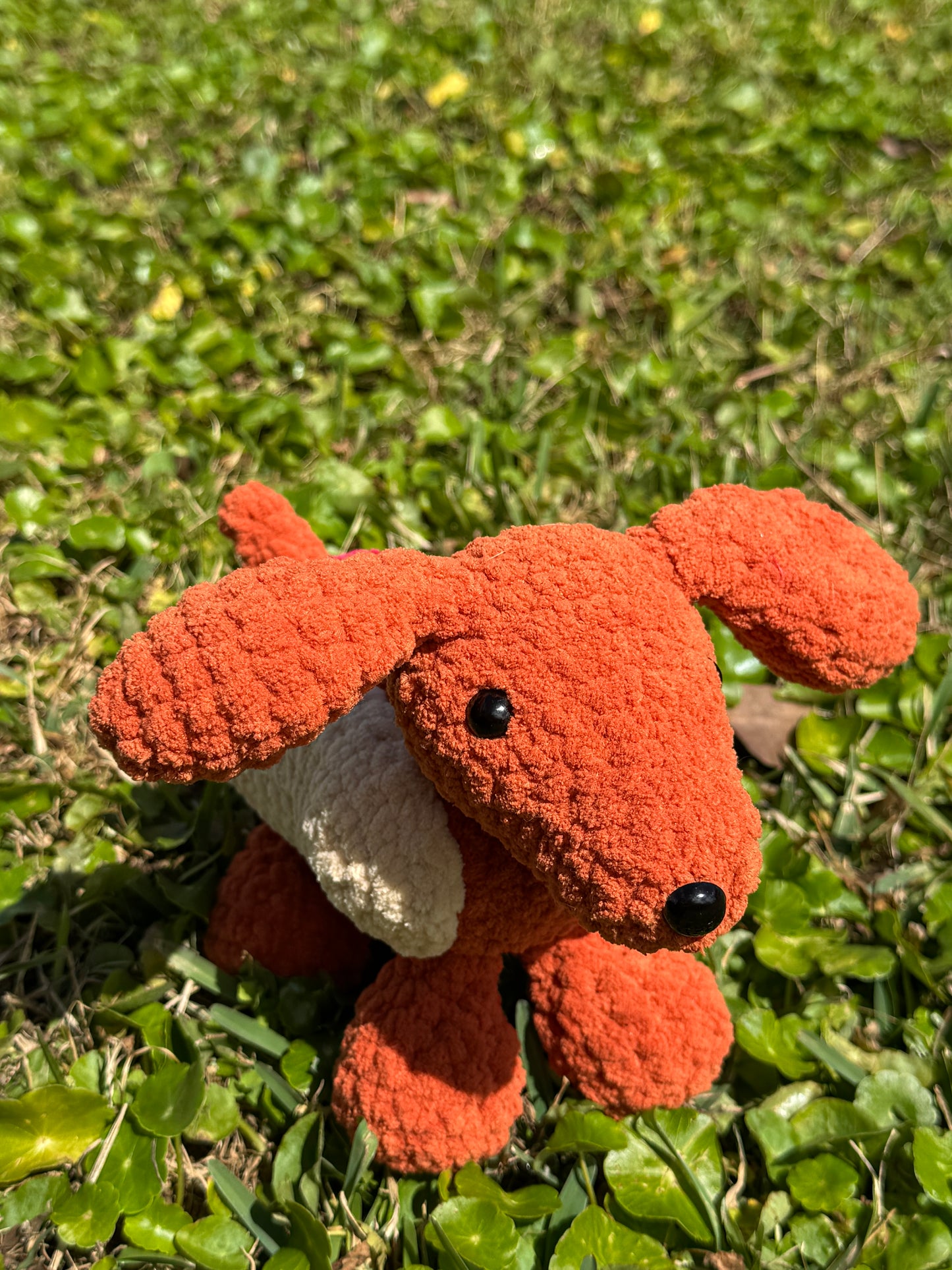 Hot Doggy Dog