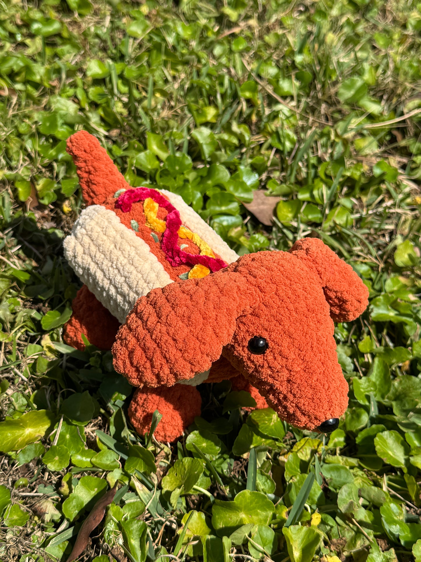Hot Doggy Dog