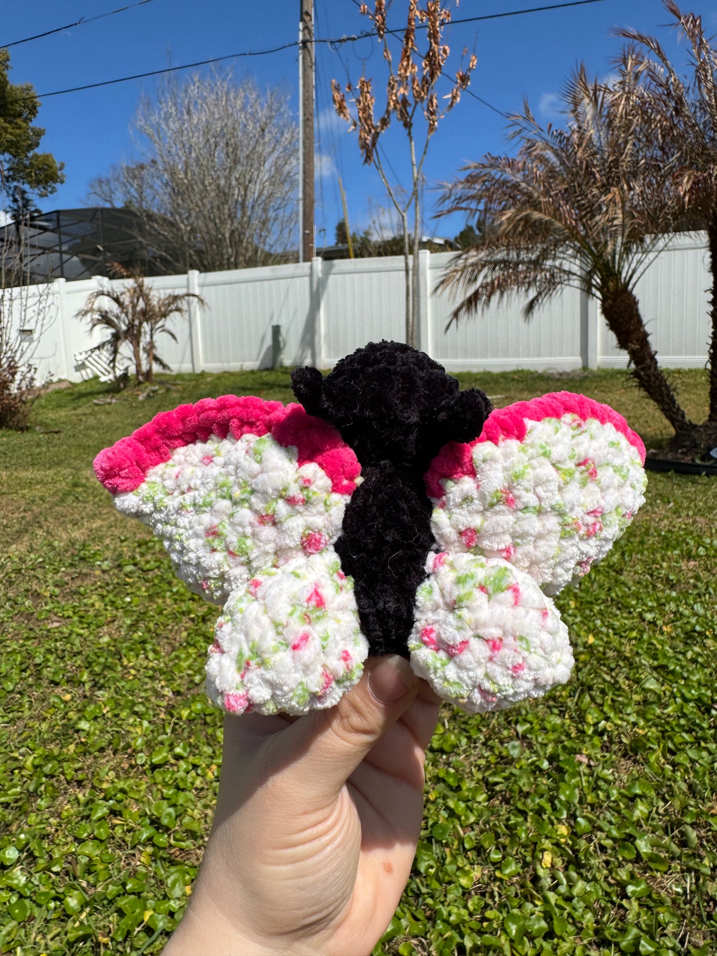 Rosy Butterfly Bugling