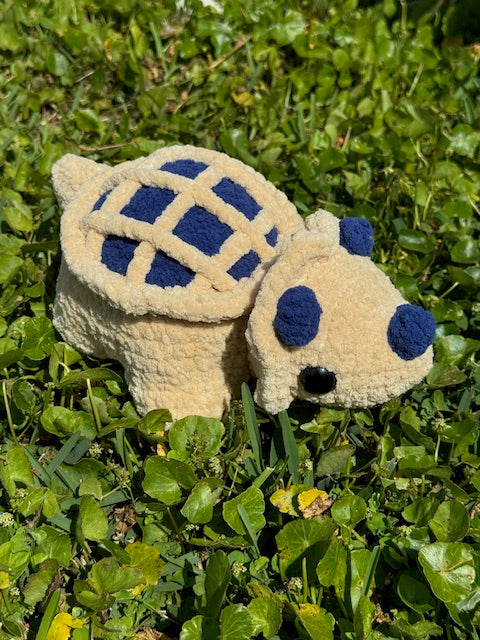 PieCeratops