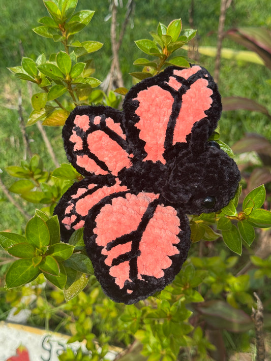 Monarch Butterfly Bugling