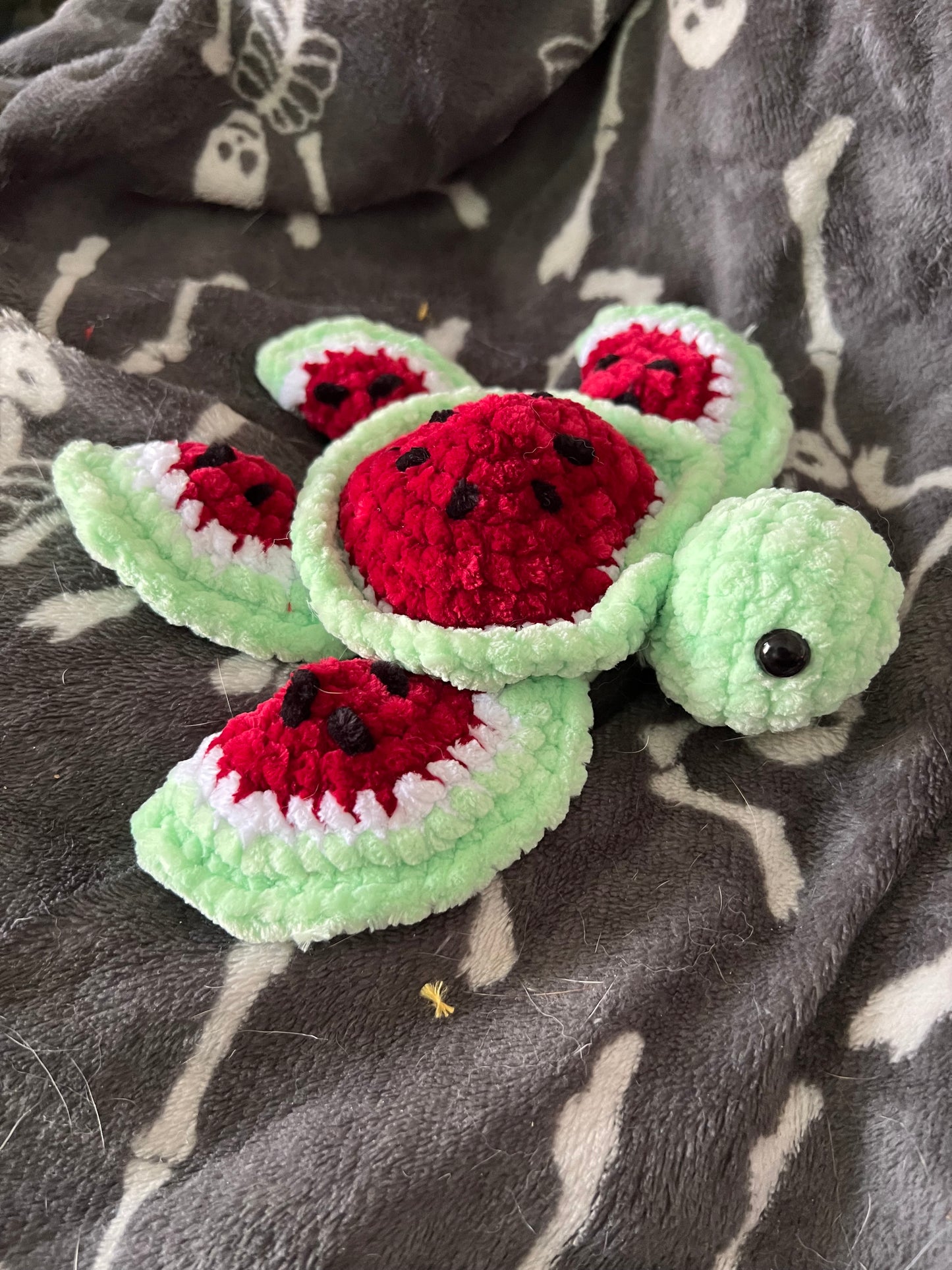 Watermelon Turtle... High